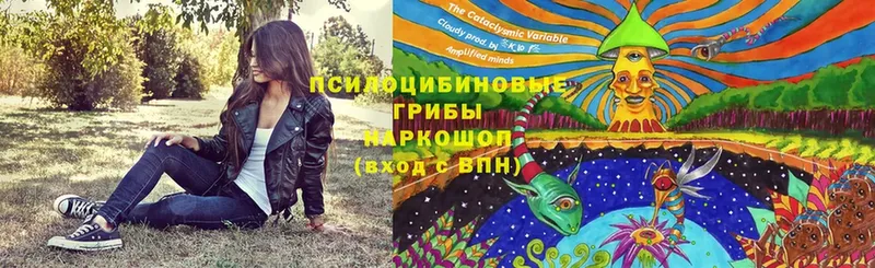 Псилоцибиновые грибы Magic Shrooms  Короча 